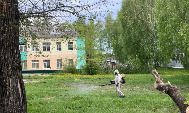 Барнаул начали обрабатывать от комаров