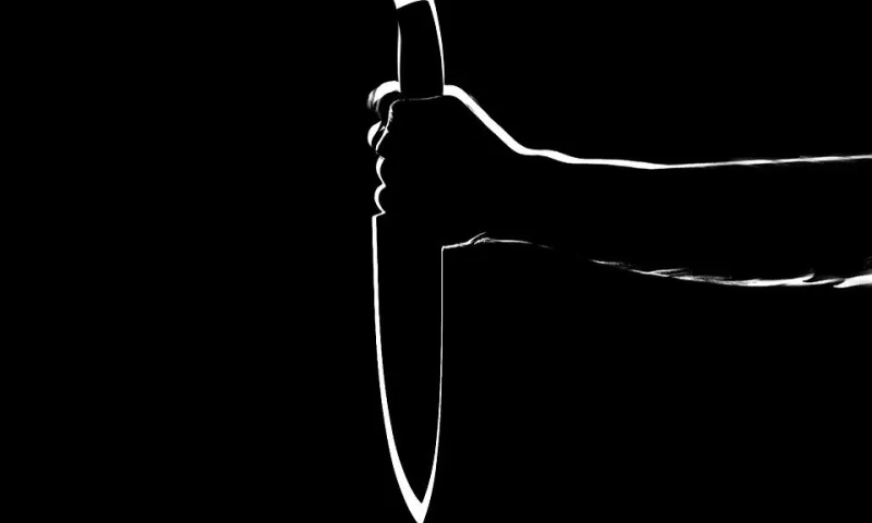 Жителя Бийска осудят за жестокое убийство двух человек 