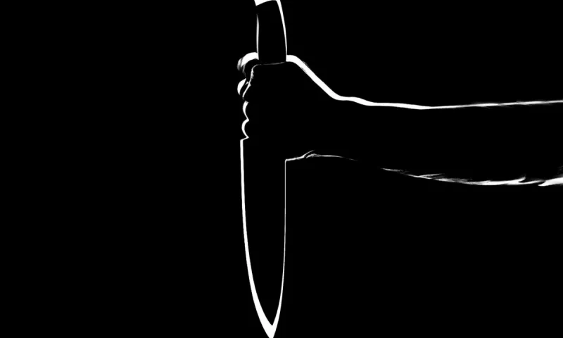 15-летний подросток убил ножом женщину в Баевском районе