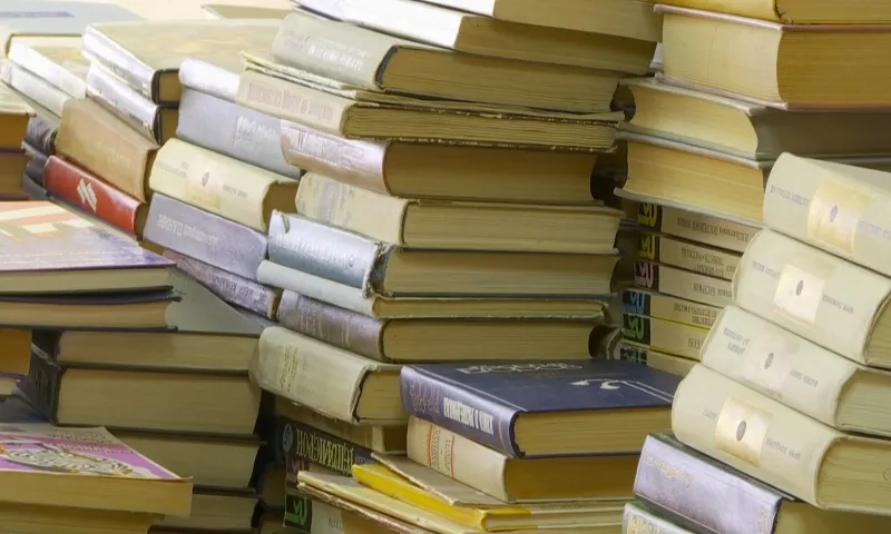 Вырос спрос на классику: рейтинг самых популярных книг среди жителей Алтайского края составила «Шишковка»