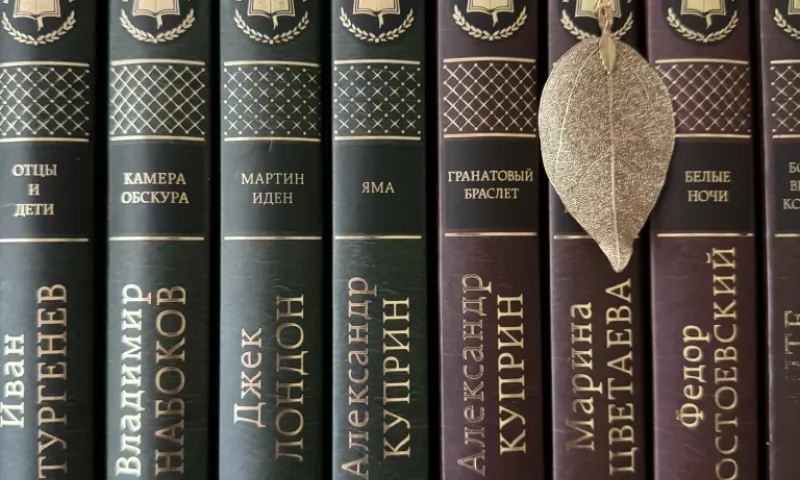 Высокий спрос на классическую литературу заметили у жителей Барнаула
