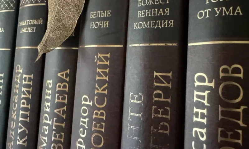 Тюбик, масик или скуф? Россияне распределили по мемным типажам персонажей литературы