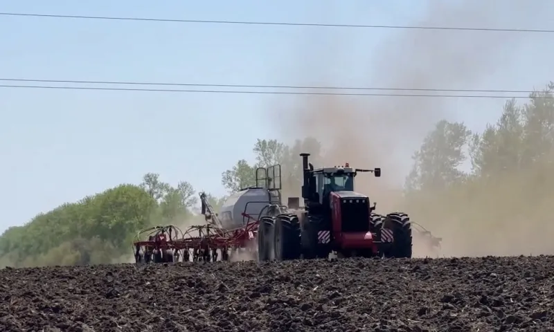 Стало известно, в каких районах Алтайского края собрали больше всего урожая зерна