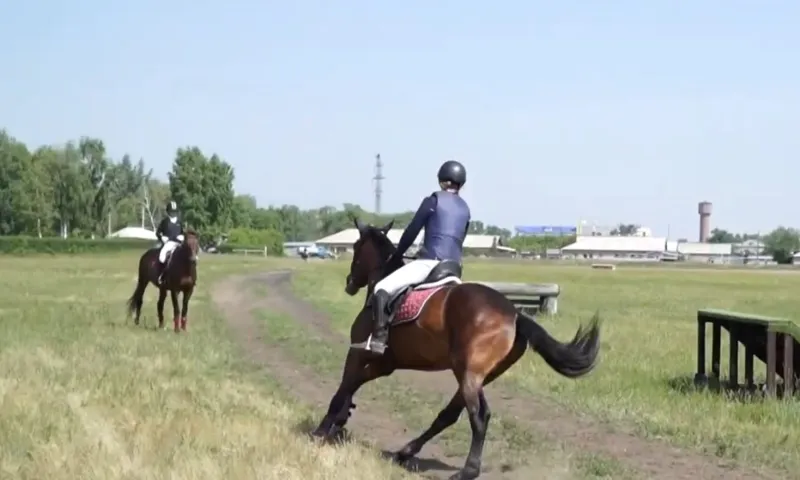 Чемпионат Алтайского края по конному спорту проходит в Барнауле 