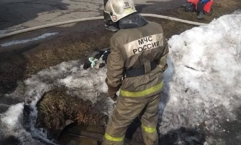 В Алтайском крае вводится режим чрезвычайной ситуации в связи с паводком
