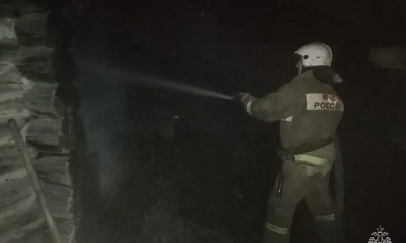 Подростка и женщину спасли из горящего дома в Кулунде