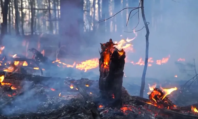С сегодняшнего дня в Алтайском крае ожидается высокая пожароопасность