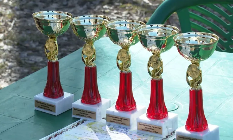 В Барнауле прошла выставка охотничьих собак