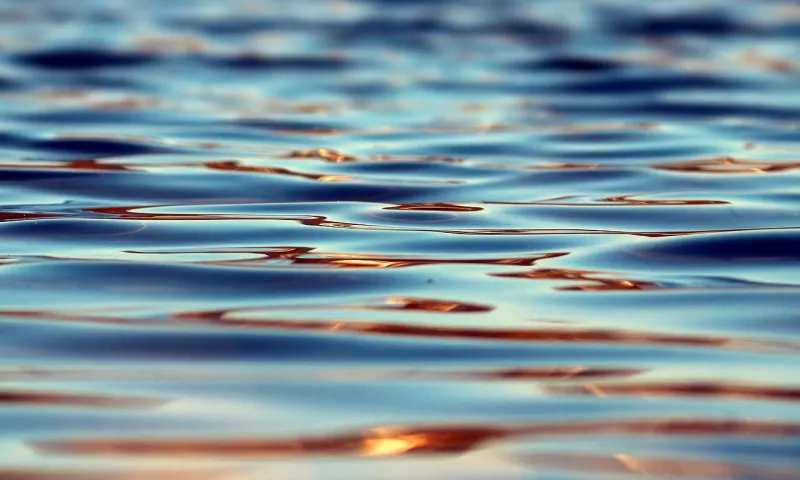 МЧС: причина трагедий на воде в Алтайском крае – обмеление рек