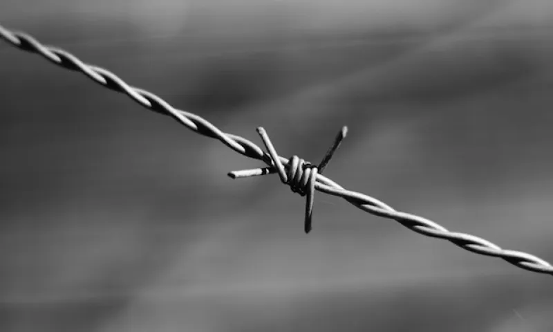 ОПГ, занимавшуюся вымогательством в Алтайском крае, отправят под суд