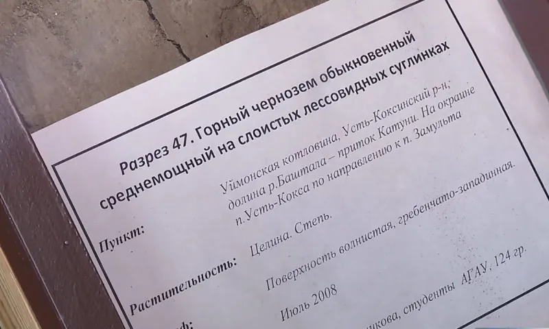 Учёные Алтайского аграрного университета работают над созданием «Красной книги почв Алтайского края»