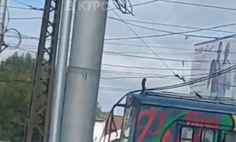 В Барнауле у троллейбуса загорелись «рога»