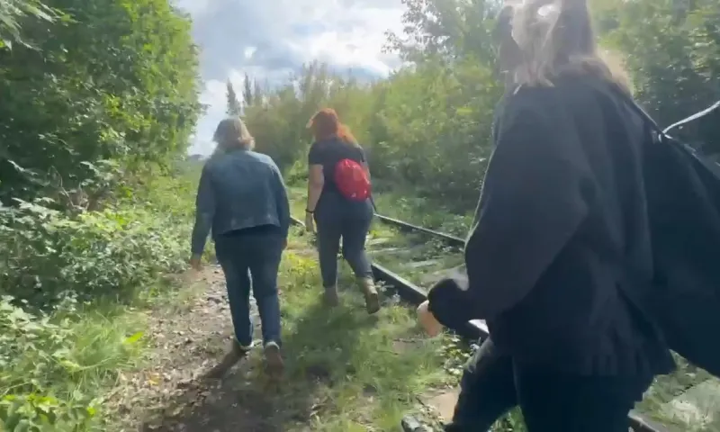 В поисковом отряде «Лиза Алерт» рассказали, как искали пропавшую 12-летнюю девочку в Барнауле