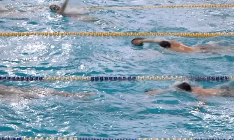 Сборная Алтайского края заняла третье место на чемпионате Сибири по плаванию