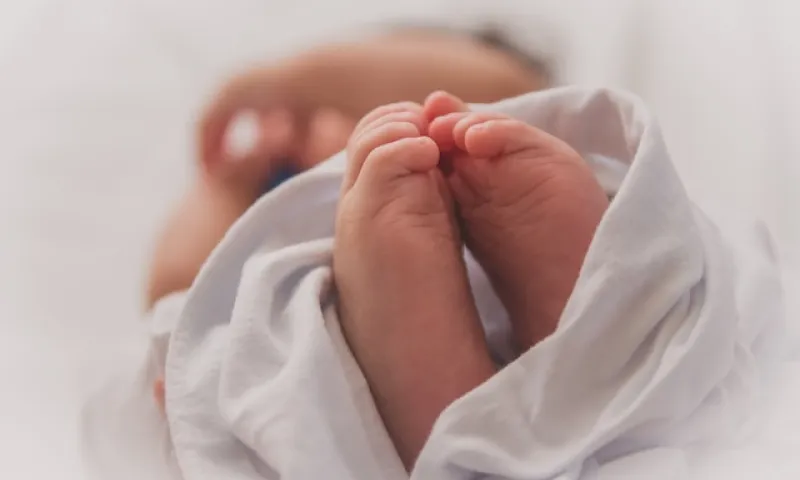 Стало известно, сколько детей родилось в Алтайском крае в 2023 году