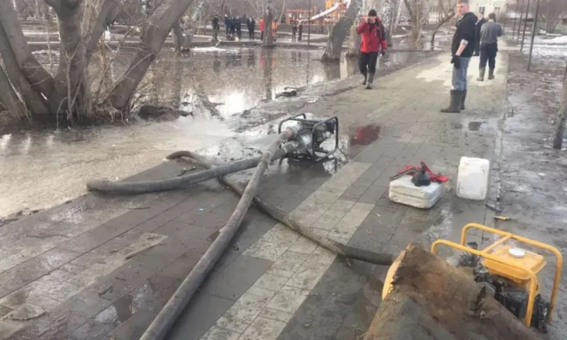 В Барнауле территорию Мизюлинской  рощи подтопило