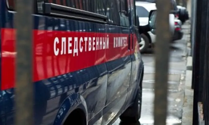 Следственный комитет начал проверку по факту нападения бездомной собаки на ребёнка в Барнауле
