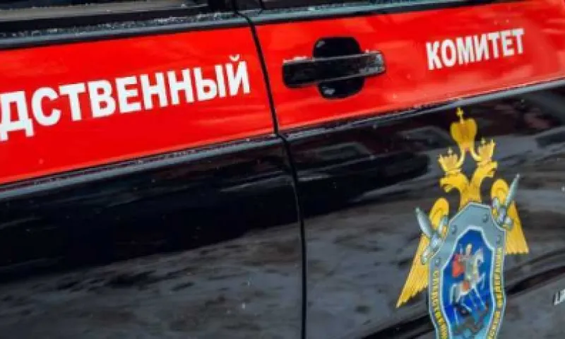 Следственный комитет проверит случаи понижения температур в квартирах жителей Алтайского края