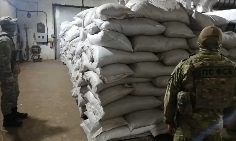 Бийчанин заготовил 8 тонн краснокнижного растения
