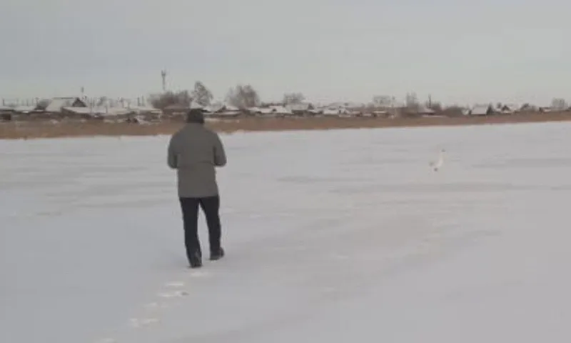 Хозяина гуся разыскивают в Алтайском крае