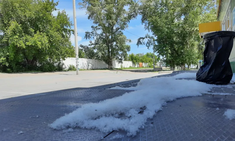 Барнаульцам напомнили о пожароопасности тополиного пуха