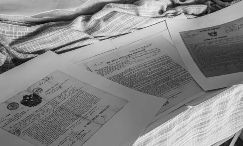Жителю Алтайского края дали условный срок за организацию незаконного въезда иностранных граждан в страну