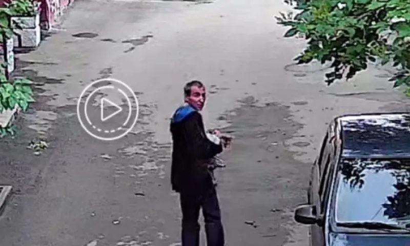 Неизвестный забрал себе чужую бенгальскую кошку в Барнауле