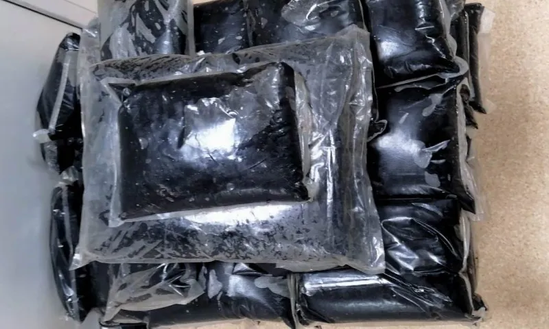 Почти 200 кг контрабандного мумие задержали алтайские таможенники