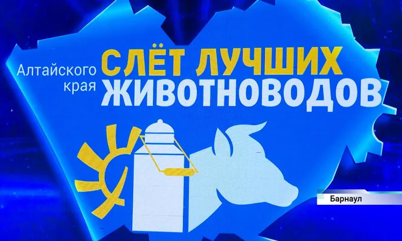Три сотни специалистов со всего региона собрались на слете лучших животноводов Алтайского края