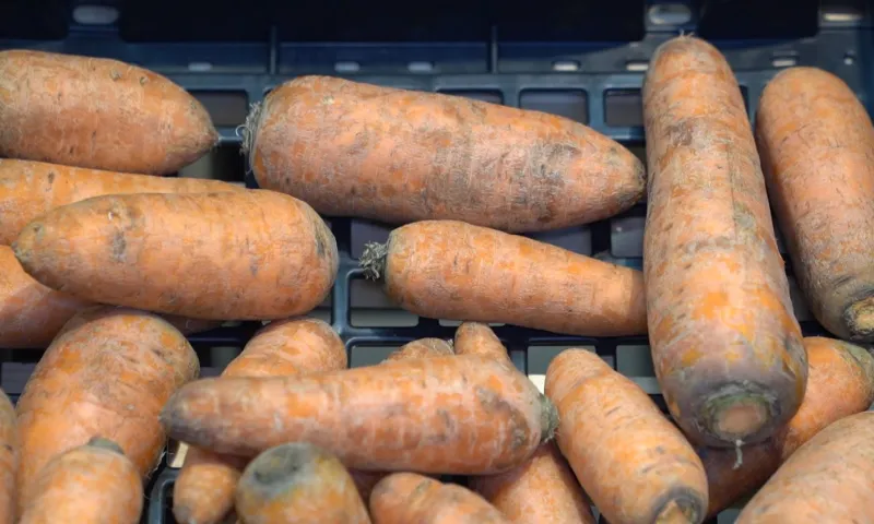 Более трех тонн продукции сети «Светофор» забраковали во время проверок в Алтайском крае