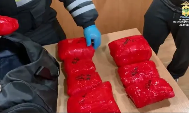 Жительнице Алтайского края грозит пожизненное заключение за попытку перевезти 5,5 килограмма наркотиков