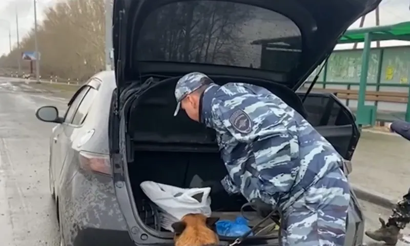 В Барнауле сотрудники Госавтоинспекции пресекли попытку сбыта наркотических средств в крупном размере