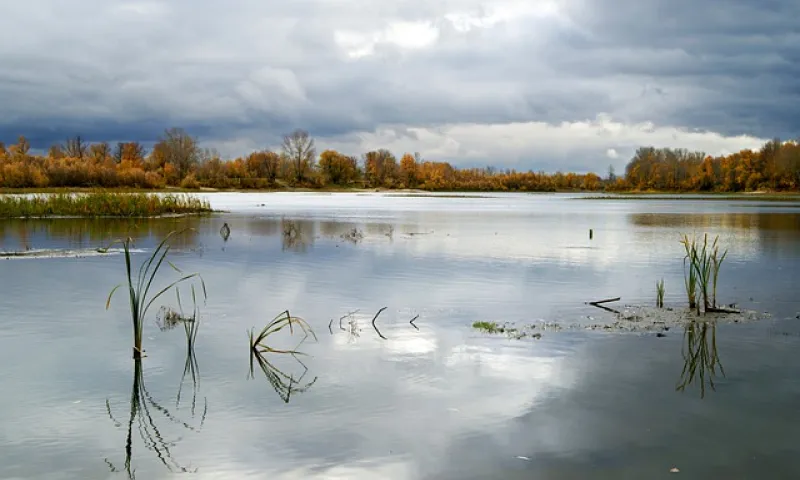 В реках Алтайского края зафиксировали снижение уровня воды