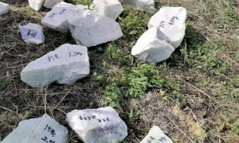Полицейские задержали контрабандиста, пытавшегося переправить более шести тонн нефрита через границу Алтайского края