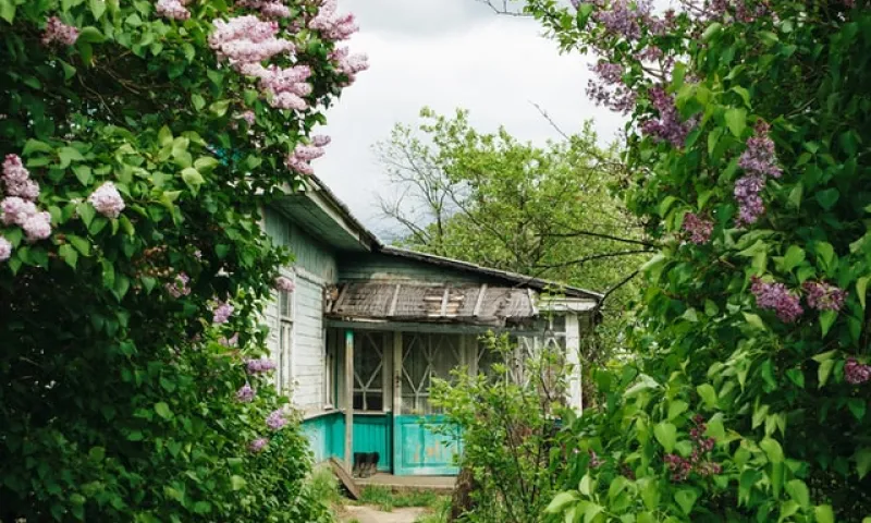 Садоводства России могут включить в границы ближайших городов