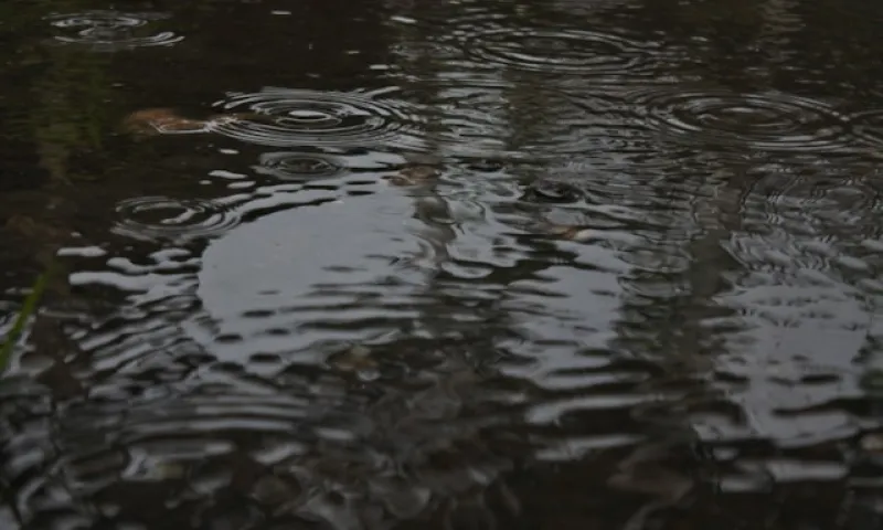 Что делать, если вас окатили водой из лужи, рассказали в Госавтоинспекции Барнаула