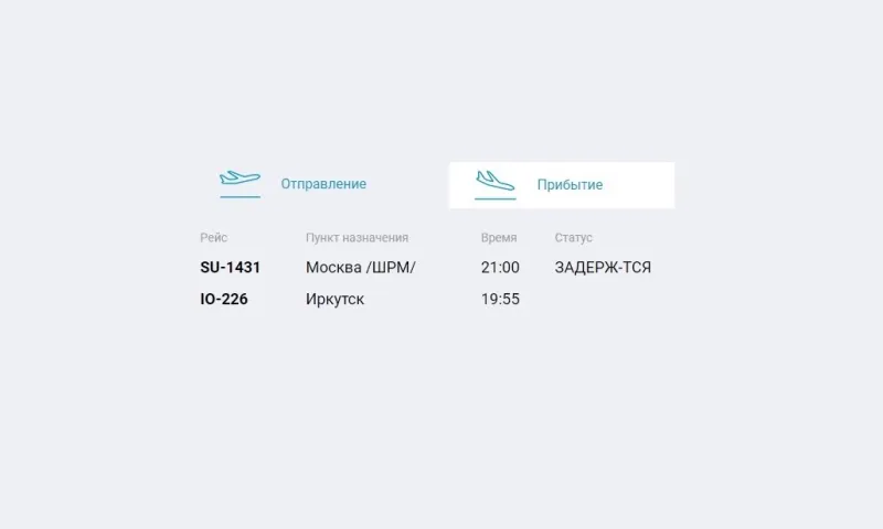 Вылет самолёта из Барнаула задержали из-за авиакатастрофы в Шереметьеве