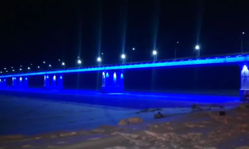 Барнаулец спас девушку, которая чуть не упала с Нового моста