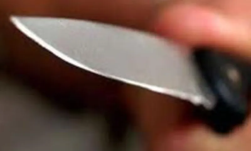 Мужчина, убивший сожительницу из ревности, признан виновным в Барнауле