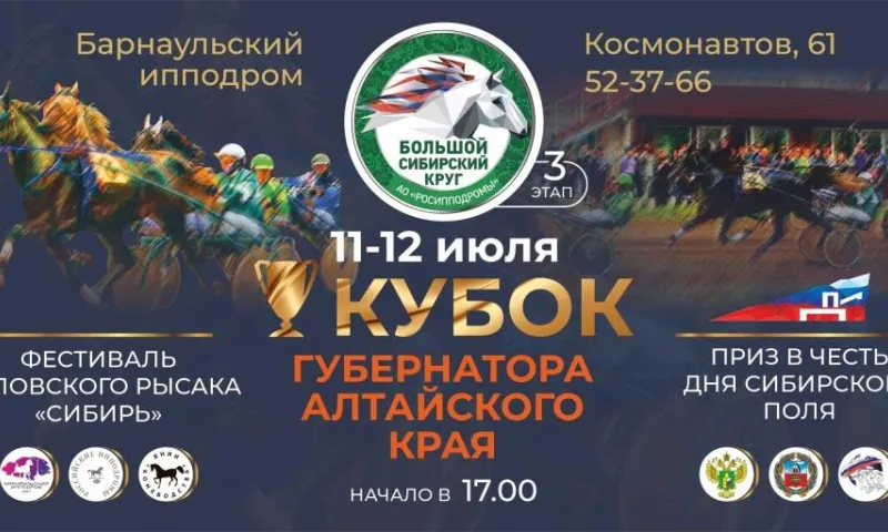 Любителей лошадей приглашают на Фестиваль орловского рысака в Барнауле 