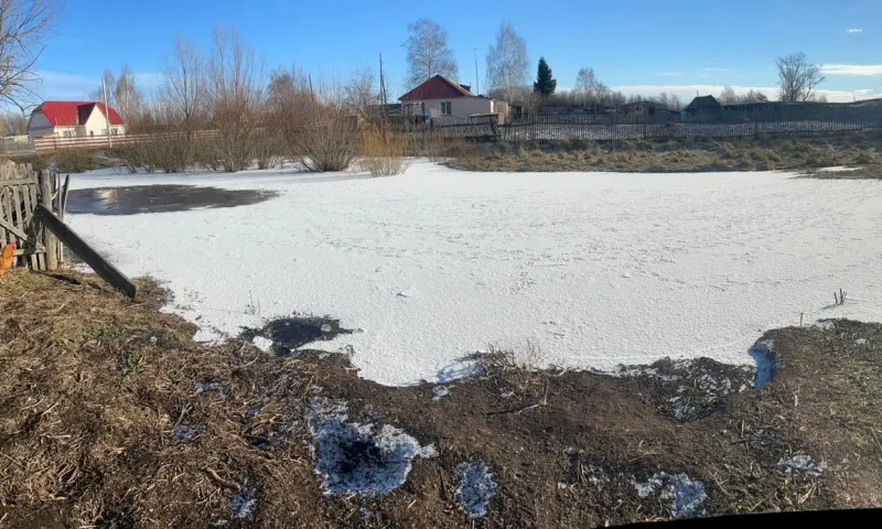 Двухлетняя девочка захлебнулась в луже в Алтайском крае