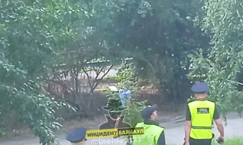 Мать выпавшего из окна в Барнауле ребенка пойдет под суд 