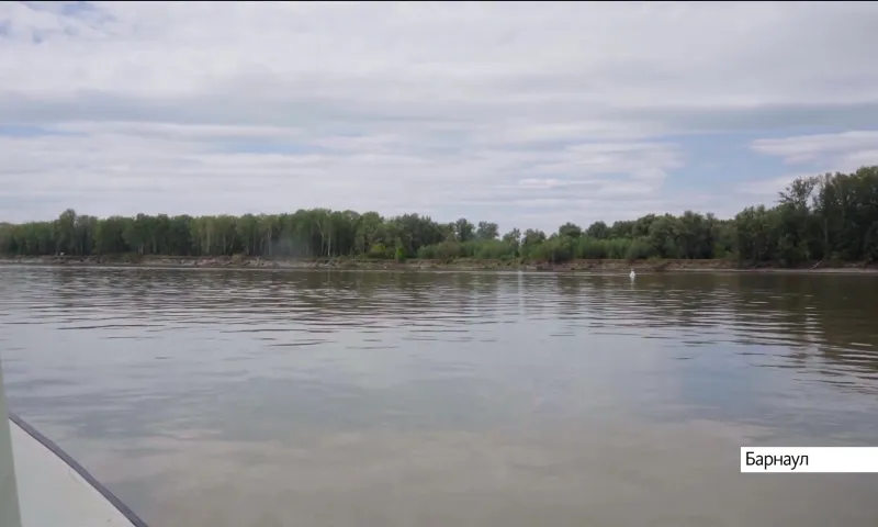 Слив канализационных отходов в питьевую воду обнаружили в Барнауле