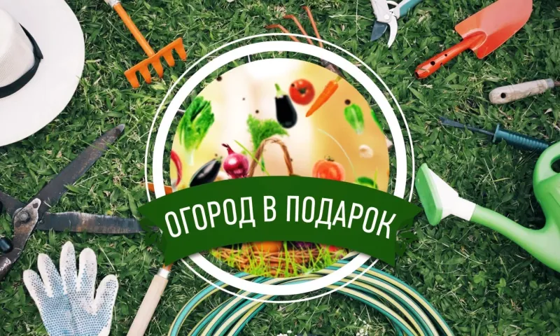 «Огород в подарок»: работы в июле