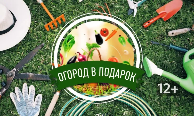 Какие экзотические овощи можно вырастить на участке? Рассказываем в «Огород в подарок»
