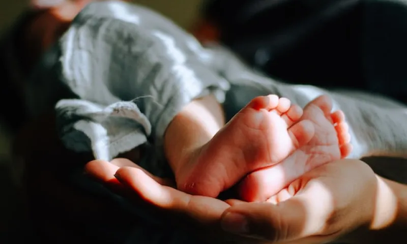 Стало известно, сколько детей родилось в Алтайском крае в 2023 году