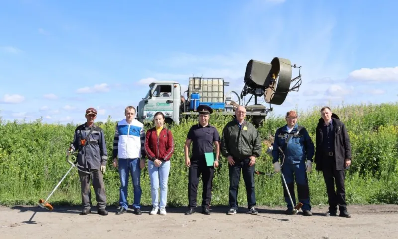 Борьбу с дикой коноплей провели полицейские возле водоканала Барнаула 