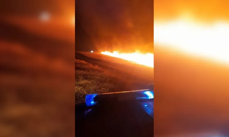 Гроза стала причиной пожара на поле в Алтайском крае