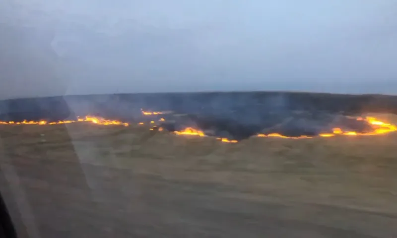 «Проводится плановый отжиг»: глава Калманского района объяснила происхождение огня на полях