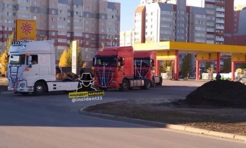 Необычный свадебный кортеж заметили на улицах Барнаула